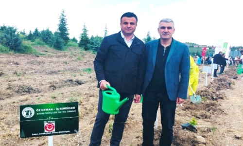 SENDİKAMIZ ADINA HATIRA ORMANINA FİDAN DİKİLDİ